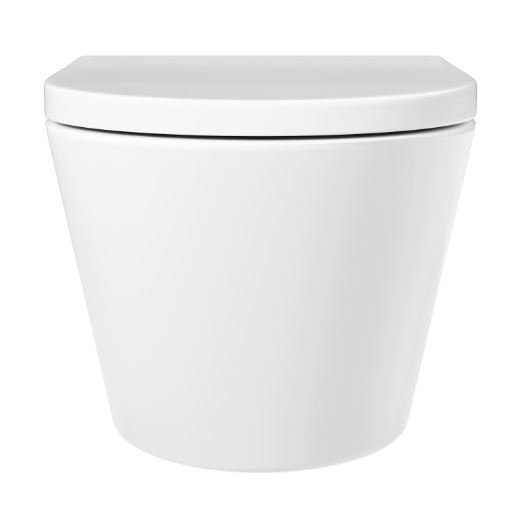 Wall Hung Toilet with Soft Close Toilet Seat, Brushed Bronze Pneumatic Flush Plate, 1168mm Frame & Cistern - Newport