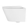 Wall Hung Toilet with Soft Close Toilet Seat, Brushed Bronze Pneumatic Flush Plate, 1168mm Frame & Cistern - Newport