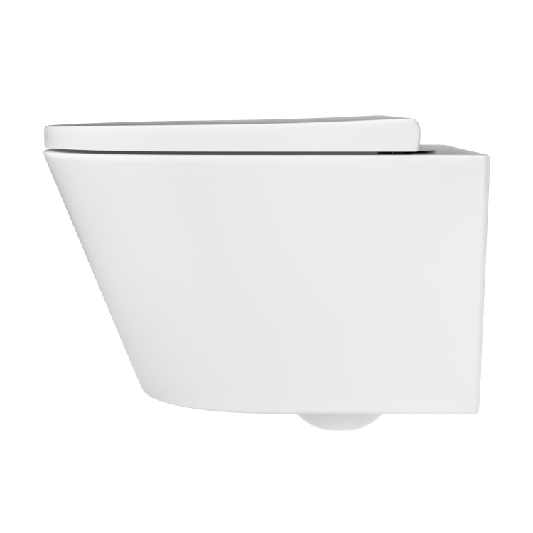 Wall Hung Toilet with Soft Close Toilet Seat, Brushed Bronze Pneumatic Flush Plate, 1168mm Frame & Cistern - Newport