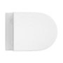Wall Hung Toilet with Soft Close Toilet Seat, Brushed Bronze Pneumatic Flush Plate, 1168mm Frame & Cistern - Newport