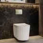 Fluted Wall Hung Rimless Toilet with Soft Close Seat, Brushed Brass Pneumatic Flush Plate, 820mm Frame & Cistern – Oregon