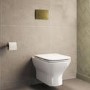 Wall Hung Rimless Toilet with Soft Close Seat, Brushed Brass Pneumatic Flush Plate, 1168mm Frame & Cistern – Palma