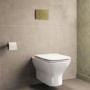 Wall Hung Rimless Toilet with Soft Close Seat, Brushed Brass Mechanical Flush Plate, 1168mm Frame & Cistern – Palma
