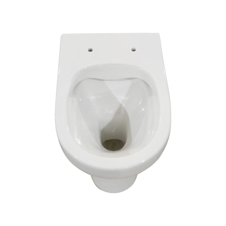 ALMOST PERFECT - Back to Wall Rimless Comfort Height Toilet with Soft Close Seat - Pendle