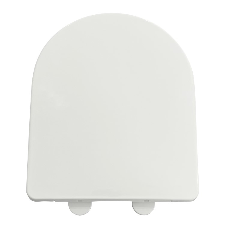 ALMOST PERFECT - Back to Wall Rimless Comfort Height Toilet with Soft Close Seat - Pendle