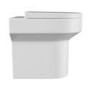 ALMOST PERFECT - Back to Wall Rimless Comfort Height Toilet with Soft Close Seat - Pendle
