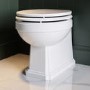 ONLY OPENED - Back to Wall Traditional Toilet with Wooden Soft Close Seat & Brass Hinges - Park Royal