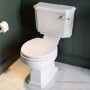 GRADE A1 - Park Royal Wooden Seat & Cover With Brushed Brass Hinge Covers