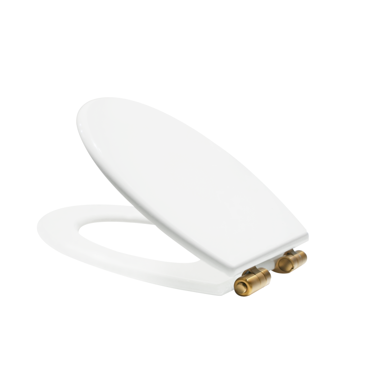 GRADE A1 - Park Royal Wooden Seat & Cover With Brushed Brass Hinge Covers