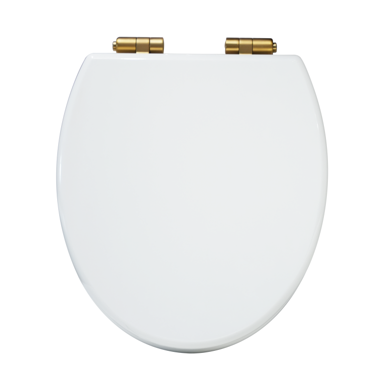 GRADE A1 - Park Royal Wooden Seat & Cover With Brushed Brass Hinge Covers
