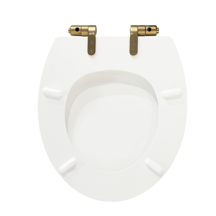 GRADE A1 - Park Royal Wooden Seat & Cover With Brushed Brass Hinge Covers