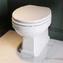 ONLY OPENED - Back to Wall Traditional Toilet with Wooden Soft Close Seat & Brass Hinges - Park Royal