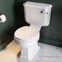White Round Wooden Soft Close Toilet Seat with Quick Release and Matt Black Hinges - Park Royal