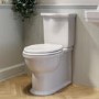 ALMOST PERFECT - Close Coupled Rimless Toilet with Soft Close Seat - Ripley