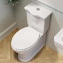 ALMOST PERFECT - Close Coupled Rimless Toilet with Soft Close Seat - Ripley