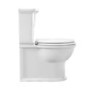 ALMOST PERFECT - Close Coupled Rimless Toilet with Soft Close Seat - Ripley