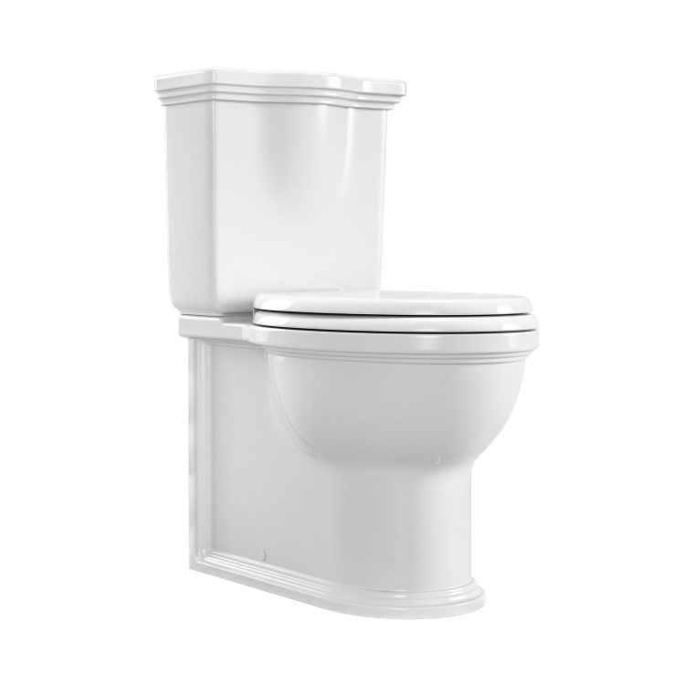 ALMOST PERFECT - Close Coupled Rimless Toilet with Soft Close Seat - Ripley