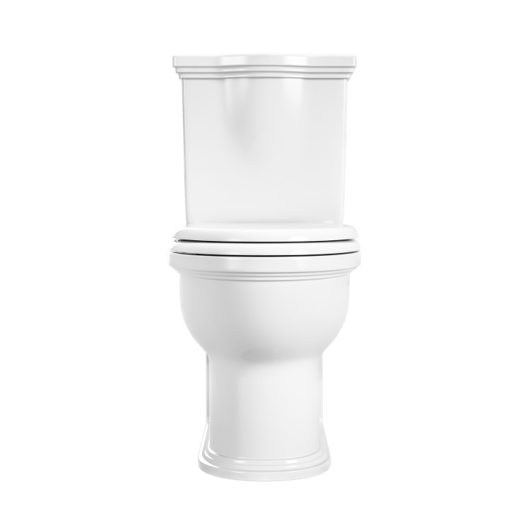 ALMOST PERFECT - Close Coupled Rimless Toilet with Soft Close Seat - Ripley