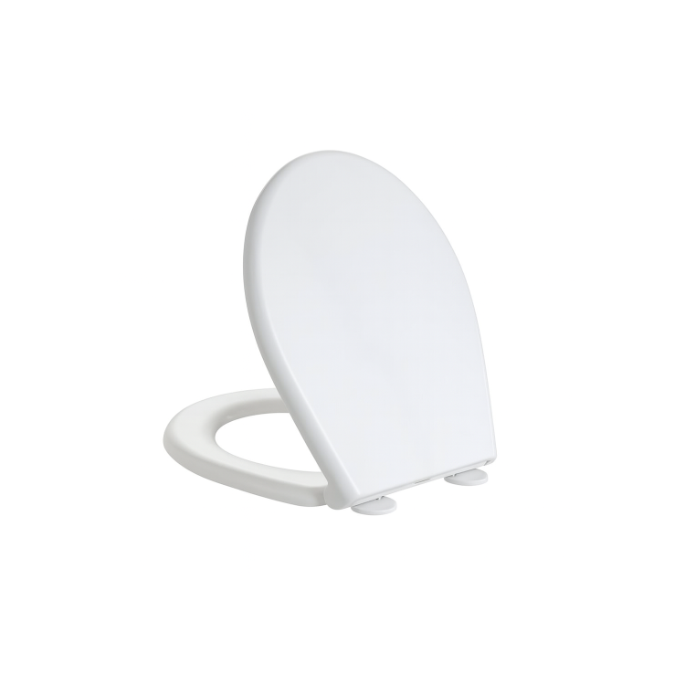 ALMOST PERFECT - Close Coupled Rimless Toilet with Soft Close Seat - Ripley