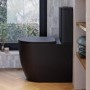 Matt Black Comfort Height Close Coupled Toilet - Roma