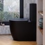 ONLY OPENED - Matt Black Comfort Height Close Coupled Toilet - Roma