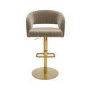 Set of 2 Curved Mink Matt Velvet Adjustable Swivel Bar Stool with Gold Base - Runa