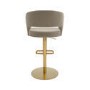 Set of 2 Curved Mink Matt Velvet Adjustable Swivel Bar Stool with Gold Base - Runa