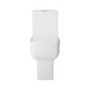 ALMOST PERFECT - Close Coupled Comfort Height Corner Toilet with Soft Close Seat - Seren