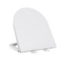 Close Coupled Rimless Closed Back Toilet with Tornado Flush - Tanya