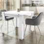 White High Gloss Extendable Dining Set with 2 Grey Velvet Dining Chairs - Vivienne