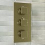 ONLY OPENED - Brushed Brass 2 Concealed Thermostatic Shower Outlet Valve With Triple Control - Zana