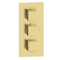 ONLY OPENED - Brushed Brass 2 Concealed Thermostatic Shower Outlet Valve With Triple Control - Zana