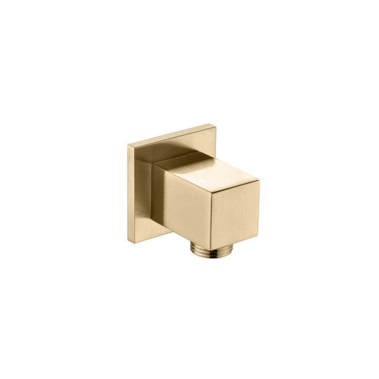 ONLY OPENED - Brushed Brass Shower Slide Rail Kit - Zana