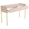 Small Pink Wooden Kids Desk with Storage - Zion