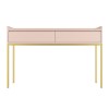 Small Pink Wooden Kids Desk with Storage - Zion
