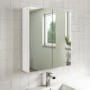 GRADE A1 - Ashford 600mm Mirrored Cabinets - White Gloss