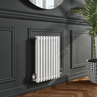 Nambi 2 Column Traditional Radiator - 600mm x 423mm - Gloss White