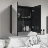 Dark Grey 2 Door Mirrored Bathroom Cabinet 600 x 650mm - Pendle