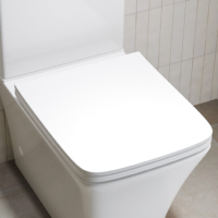 GRADE A1 - Boston Soft Close Seat and Cover