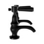 GRADE A1 - Black Basin Pillar Taps - Helston