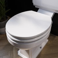 GRADE A1 - Park Royal Wooden Soft Close Toilet Seat