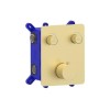 Brushed Brass Push Button 2 Function Shower Valve - Vance