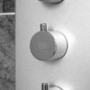 Thermostatic Shower Tower Panel - EcoWave Range
