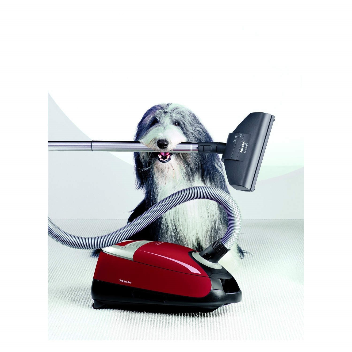 20 Premium Sacchetti Per Aspirapolvere Miele Cat & Dog 5000 20 Premium Sacchetti Per Aspirapolvere Miele Cat & Dog 5000