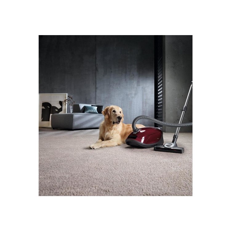 Refurbished Miele C3Cat&Dog C3 Complete Cat & Dog Pro Bagged Cylinder Vacuum Cleaner Tayberry Red