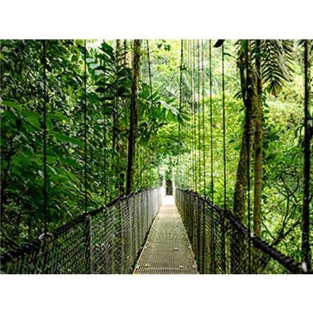 HP EliteBook 6 G1a AMD Ryzen 5 16GB RAM 512GB SSD 14 Inch Windows 11 Pro Laptop