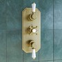 Brushed Brass 2 Outlet  Wall Mounted Thermostatic Mixer Shower Set with Hand Shower - Cambridge