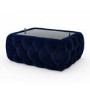Small Rectangle Navy Velvet Ottoman Coffee Table - Clio