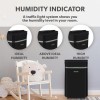 electriQ 12L Low-Energy Quiet Anti Bacterial Dehumidifier and HEPA Air Purifier - Black