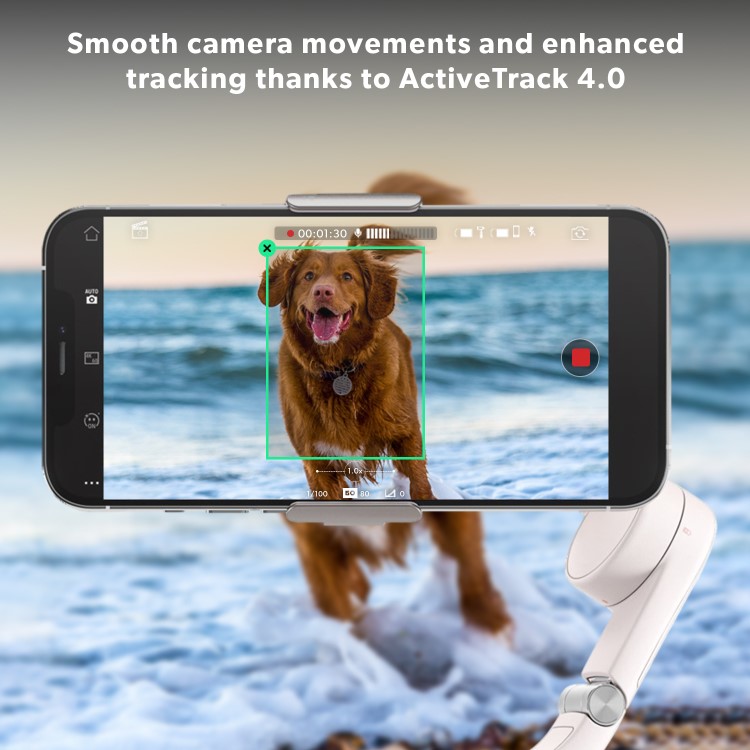 DJI OM 5 Gimbal - Sunset White